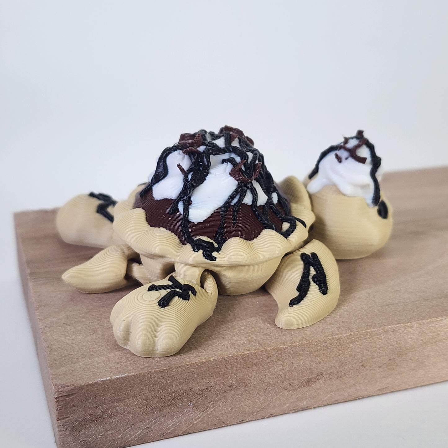 Turtle - Chocolate Pie